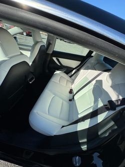 2019 sTesla Model 3 Rear Seat Assembly (Bench + Folding Backs)