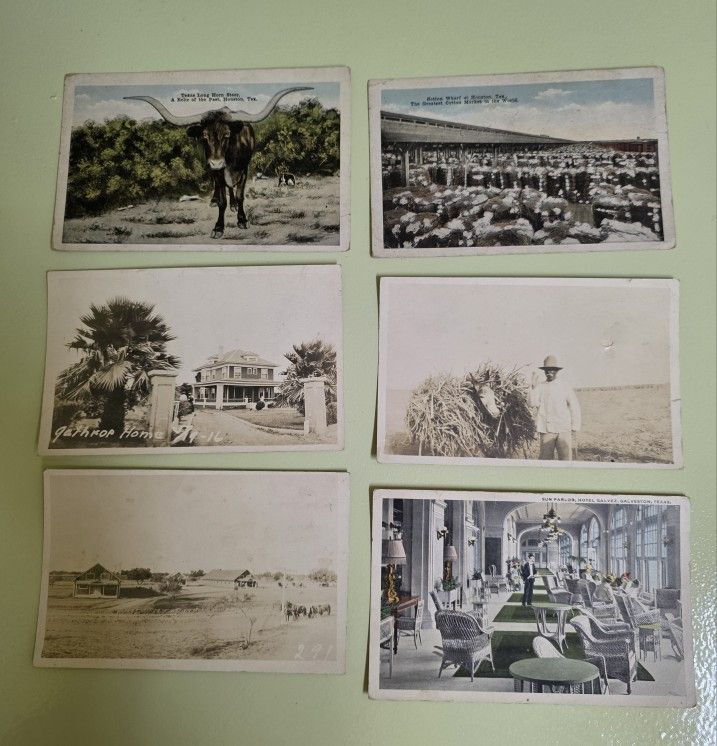 6 Vintage Post Cards Hotel Galvez Long Horn Houston Texas Eskildsen