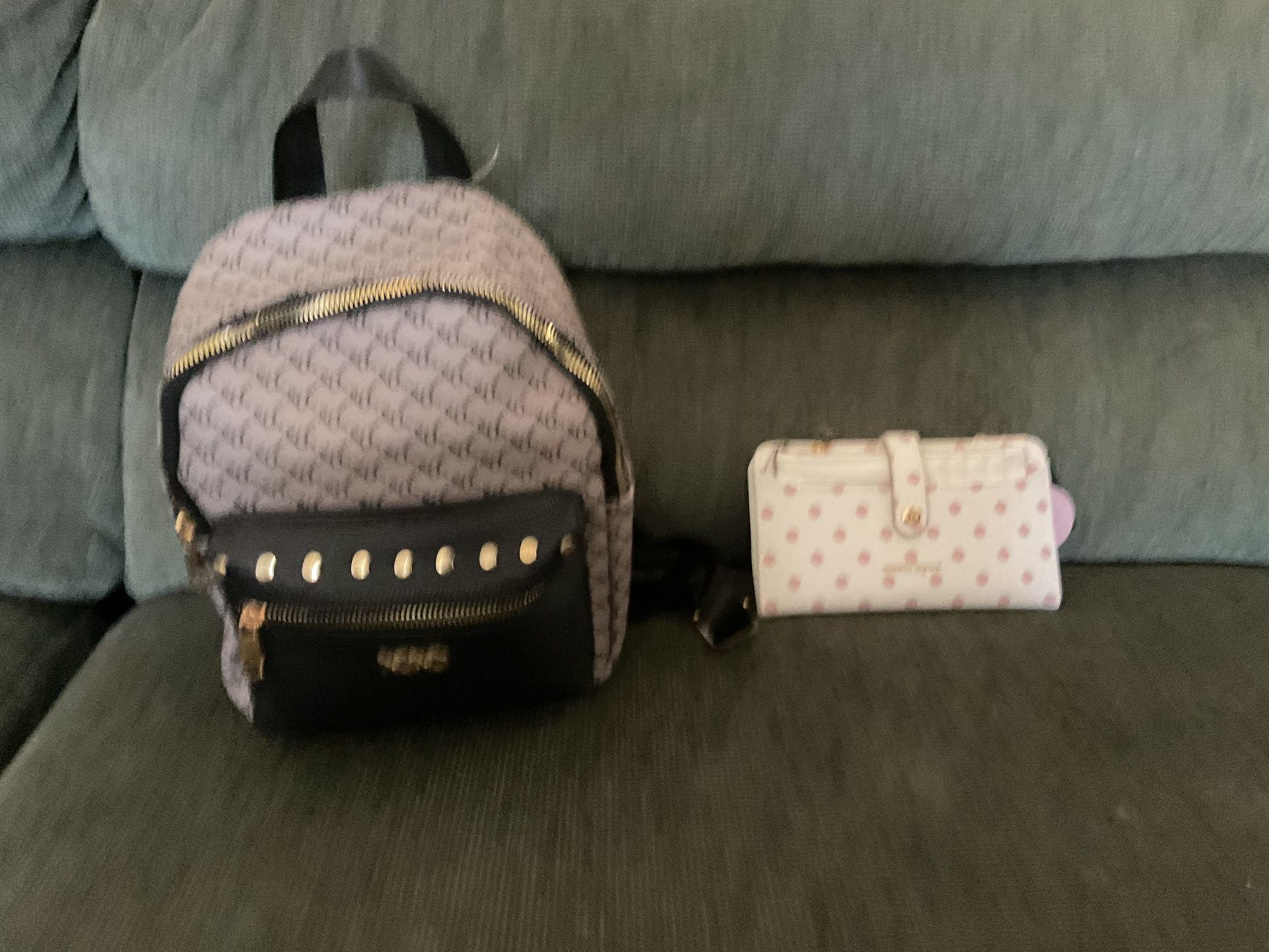 Wallet And Bag Kate Spade And Xoxo Both Brand New