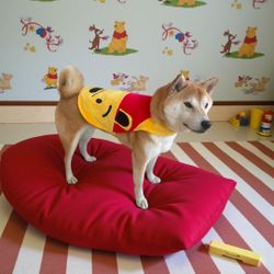 🐾 Pet Winnie The Pooh Inspired Cape, L