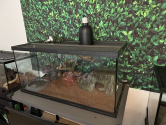 Reptile Tank