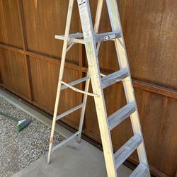 FirmONprice 6’Ladder