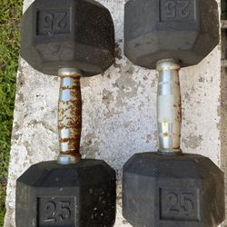 Pair Of French Fitness Rubber Coated Hex Dumbbell 30 lbs 