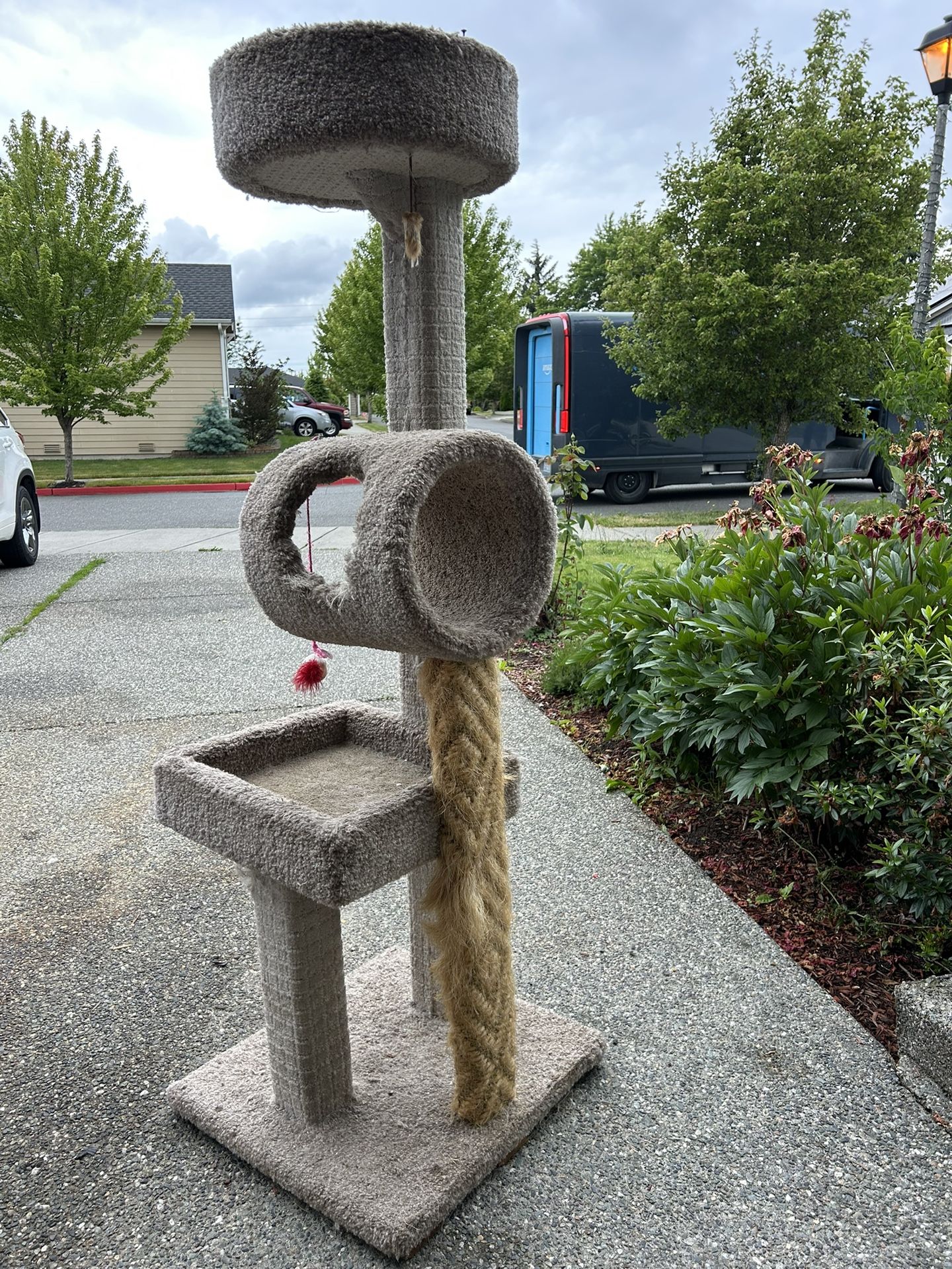 Cat Tree