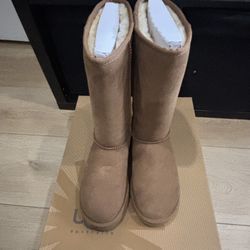 Uggs Boots 