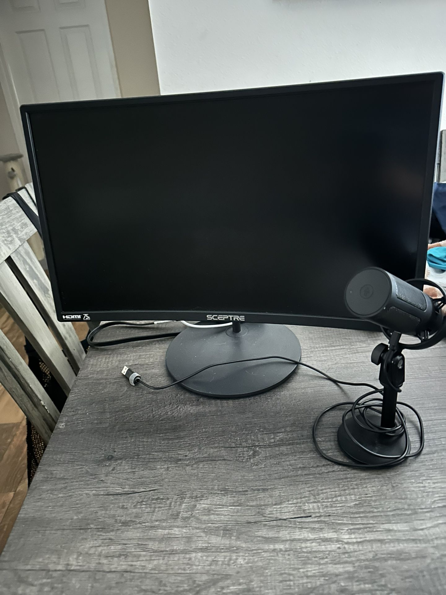 Monitor And Mic