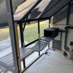 Large Outdoor Catio – Sturdy & Secure