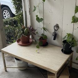 Beige Table Need Gone ASAP!