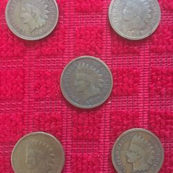 (5) Indian One Cent coins $50.00 CASH, TEXT FOR PRICES.  