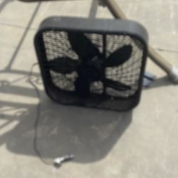 Fan