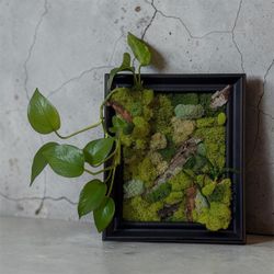 Living wall