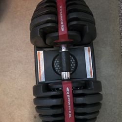 Bowflex Dumbell