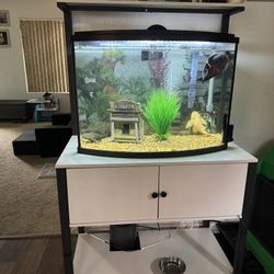 36 Gallon Fish Tank