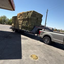 Alfalfa Hay – $15 per Bale