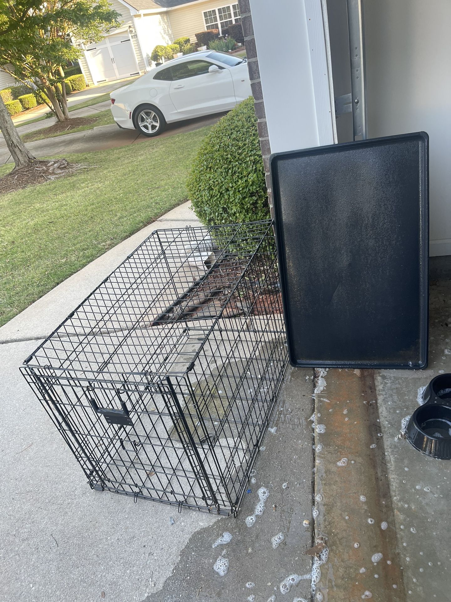 Medium Dog Crate W/tray