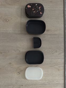 Japanese bento Box