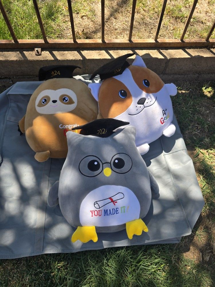 Graduation Plushie Bundle