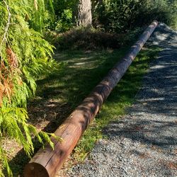 Class 4 dugless fir 30ft meter pole