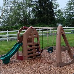 Play Set With Swings And Slide