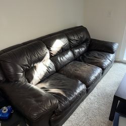 Dark Brown Leather Couch