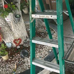 Werner Ladder 6ft 