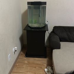 20 Gallon Fish Tank With Stand