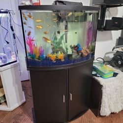 Fish Tank. No Fishes 