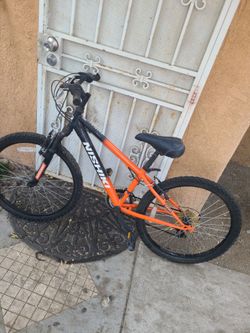 Nishiki bike