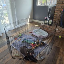 Doggy Play Pen