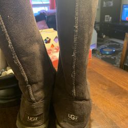 Chocolate Brown Uggs