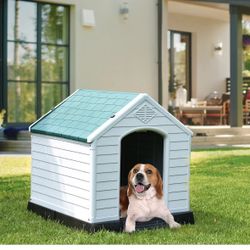 Dog House 