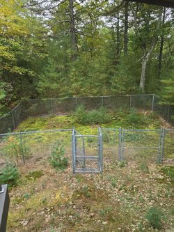 Chain Link Dog Kennel Fence Enclosure