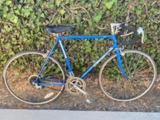 Schwinn 10 Speed Bike Antique
