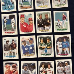 1987 Team Leaders 25 Card Lot Set