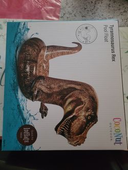 Rex Pool Float
