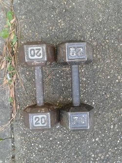 20lb dumbbell set