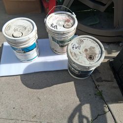 BEHR Paint