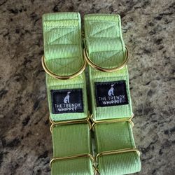 Dog Collars 