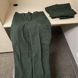 True North Tecasafe Plus Pants, Wildland Greens