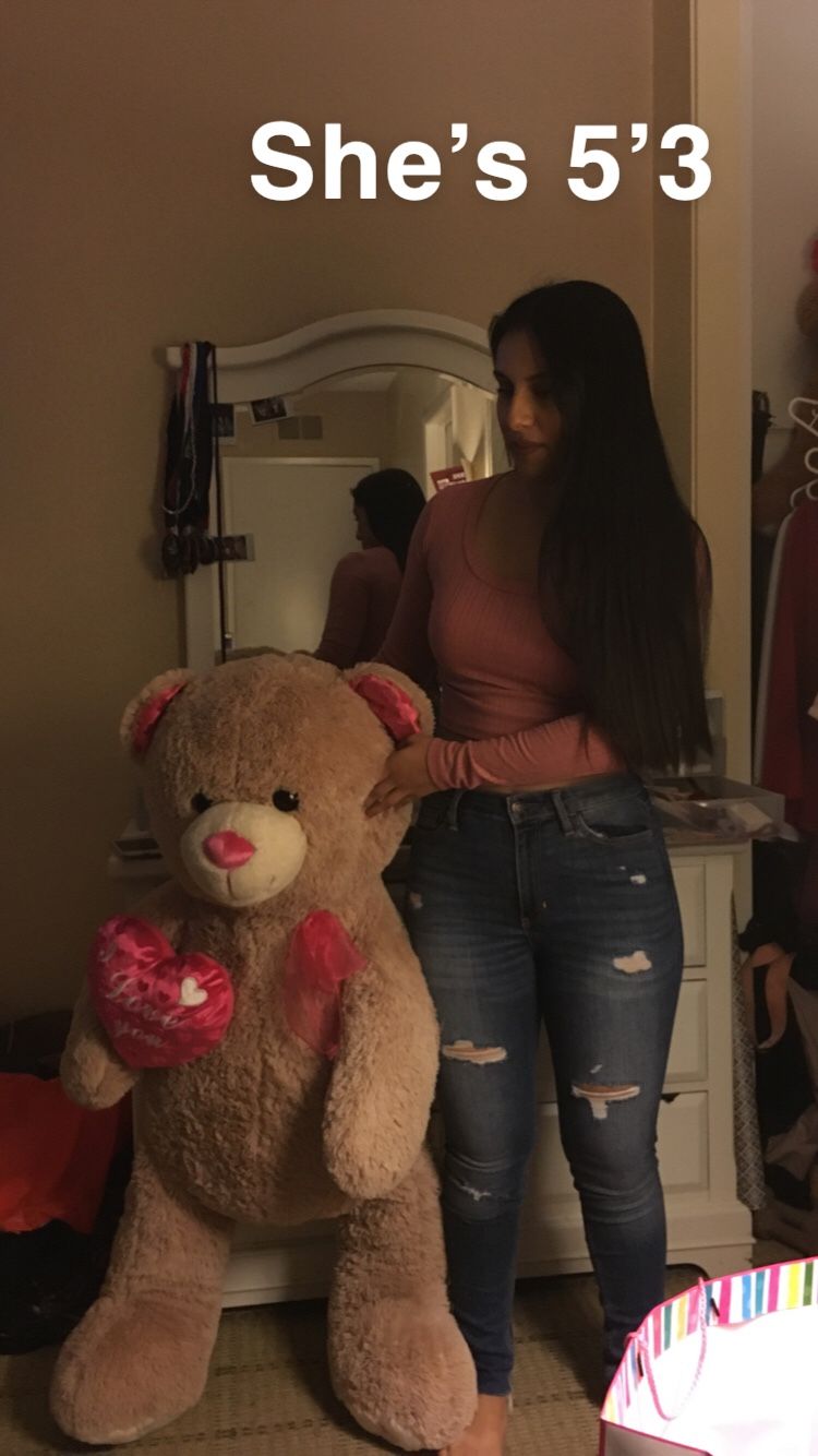 Stuffed animal (bear)