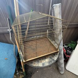 Bird Cage 