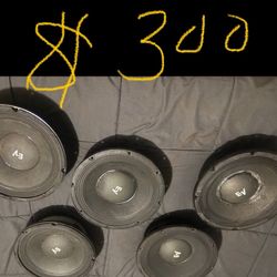 EV Speakers 