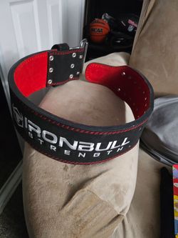 Workout belt for back
