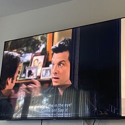  Screen Panel Broken 65 Inch Toshiba 