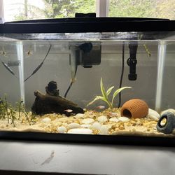 20 Gallon Fish Tank 