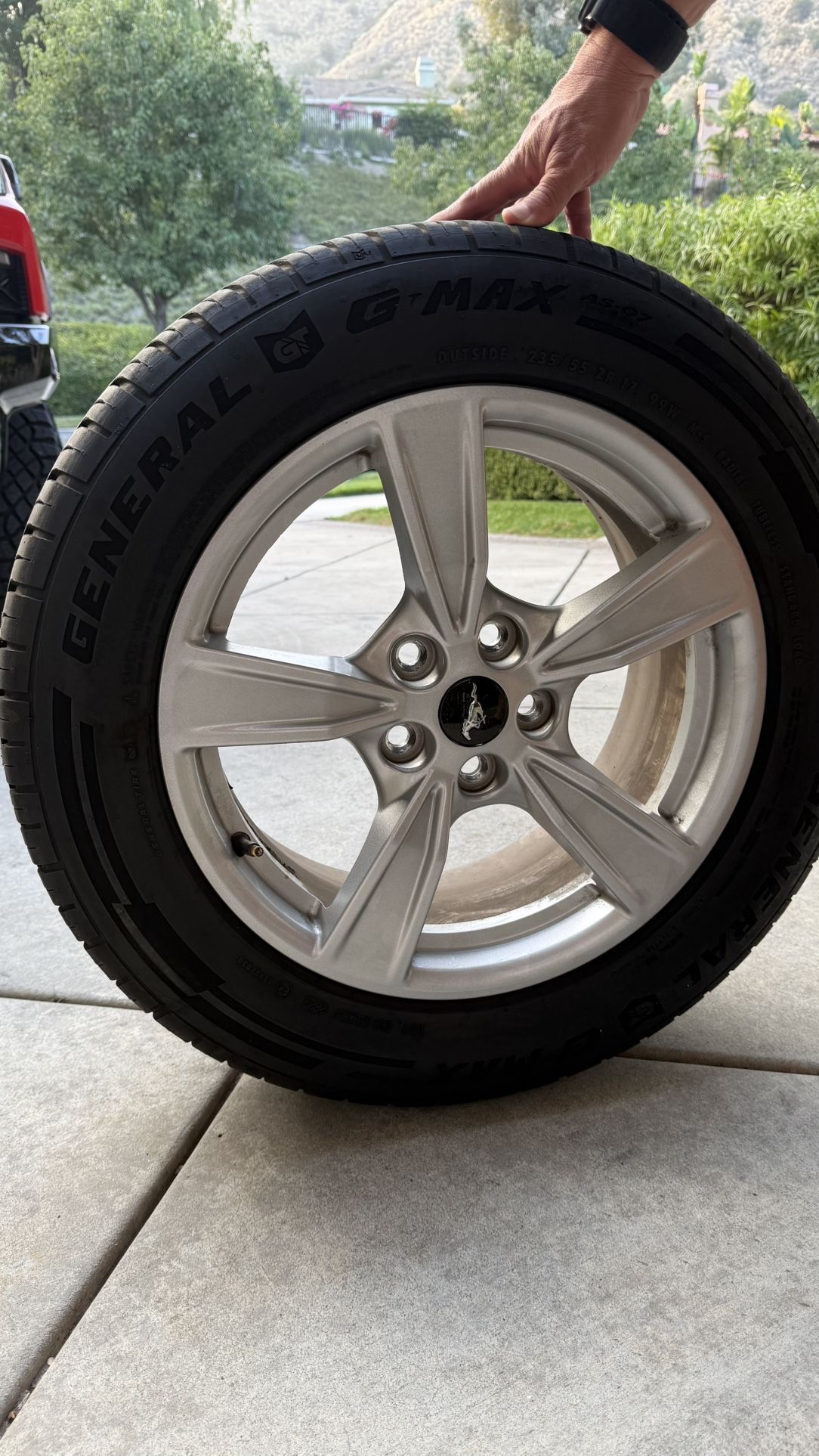 Mustang Wheels & Tires