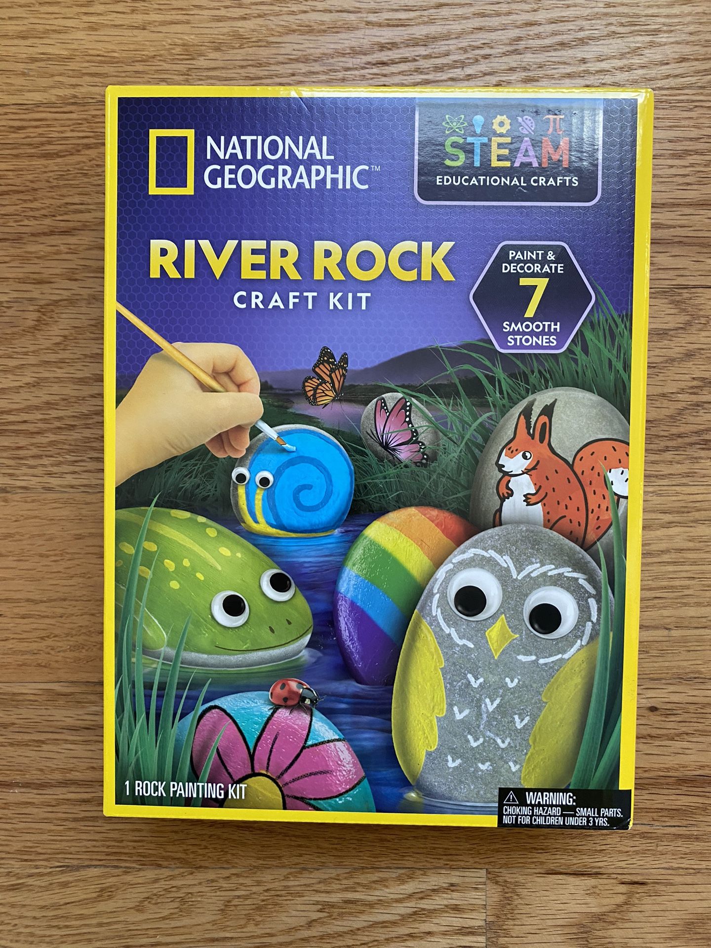 NATIONAL GEOGRAPHIC Rock Painting Kit for Kids - New in Box