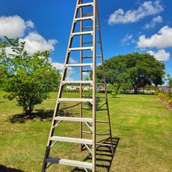 12 Ft Ladder 
