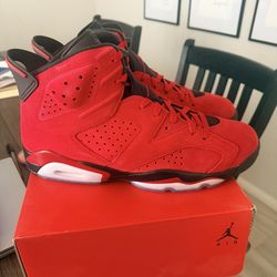 Toro Bravo Jordan 6  Size 13