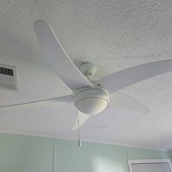 Ceiling Fan With Light